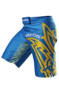 Шорты BERSERK HETMAN blue фото